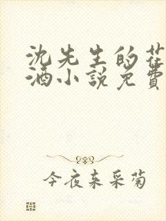 沈先生的花式调酒小说免费阅读