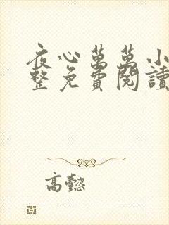 夜心万万小说完整免费阅读全文