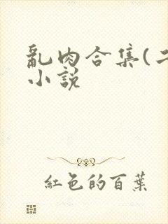 乱肉合集(二)小说