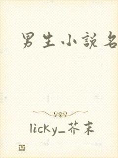 男生小说名字