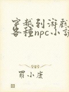 穿越到游戏里和各种npc小说