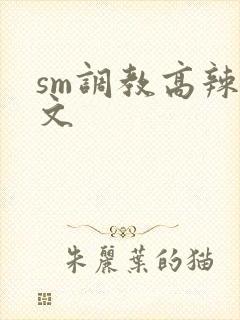 sm调教高辣h文