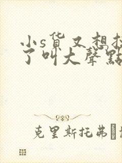 小s货又想挨c了叫大声点