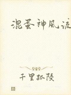 混蛋神风流