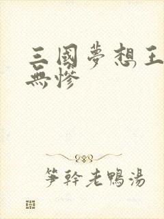三国梦想王元姬无惨