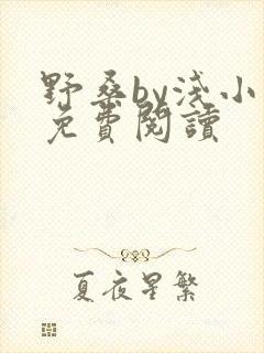 野桑by浅小说免费阅读