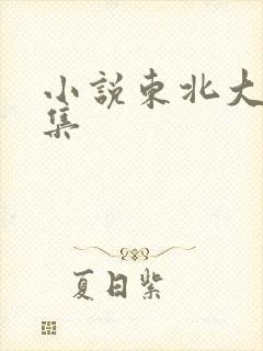 小说东北大炕全集