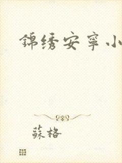 锦绣安宁小说