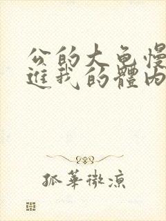 公的大龟慢慢挺进我的体内