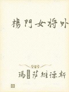 杨门女将外传