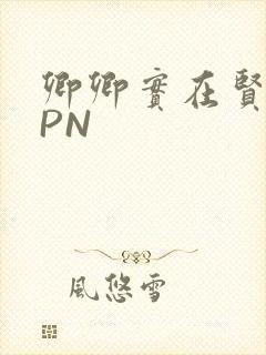 卿卿实在贤良NPN