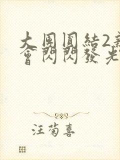 大团圆结2亲情会闪闪发光目录