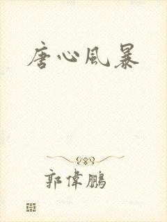 唐心风暴