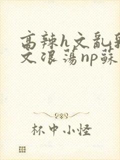 高辣h文乱乳h文浪荡np苏夏