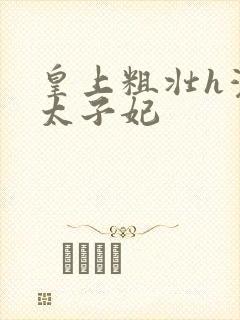 皇上粗壮h灌满太子妃