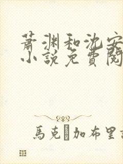 萧渊和沈安安的小说免费阅读