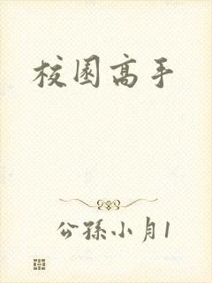 校园高手