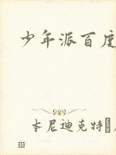 少年派百度百科