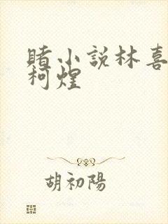 赌小说林喜朝和柯煜