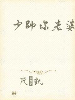 少帅你老婆