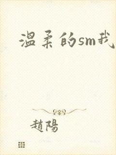 温柔的sm我