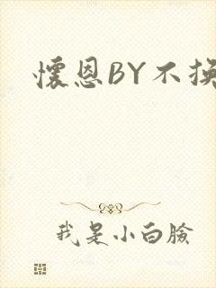 怀恩BY不换