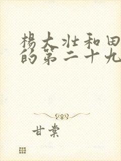 杨大壮和田桂花的第二十九