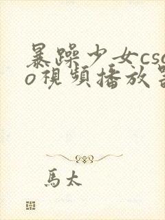 暴躁少女csgo视频播放器推荐