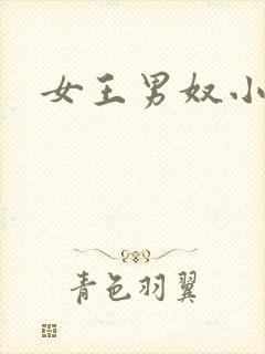 女王男奴小说封面