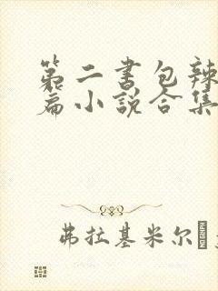 第二书包辣网短篇小说合集