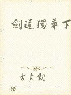 剑道独尊下载