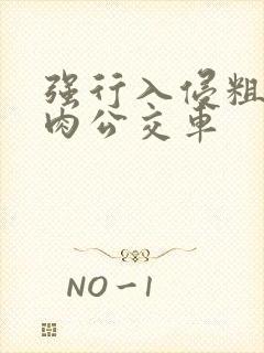 强行入侵粗暴h肉公交车