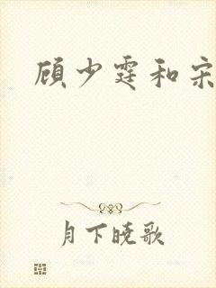 顾少霆和宋斯曼