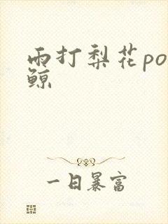 雨打梨花po问鲸