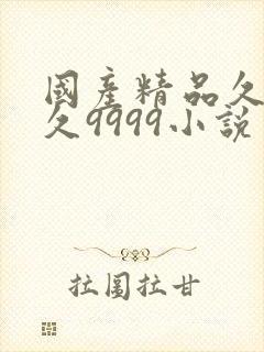 国产精品久久久久9999小说