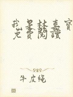 我是林喜宝小说免费阅读