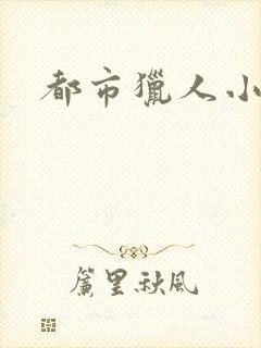 都市猎人小说