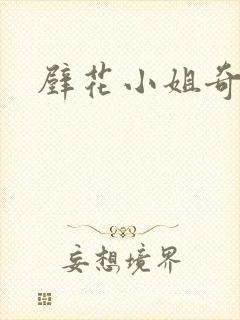 壁花小姐奇遇记