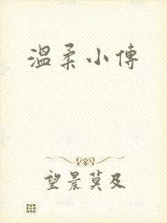 温柔小传