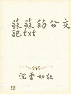 苏苏的公交车日记txt