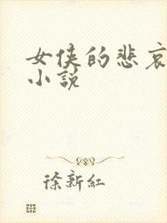 女侠的悲哀续集小说封面