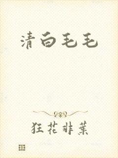 清白毛毛