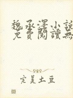 魏承泽小说全文免费阅读无弹窗笔趣