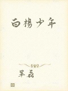 白杨少年