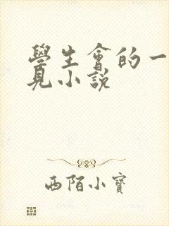 学生会的一己之见小说