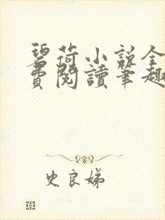 碧荷小说全文免费阅读笔趣阁