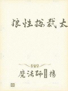 狼性总裁太凶猛