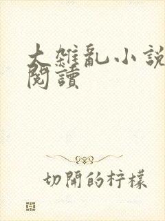 大杂乱小说目录阅读