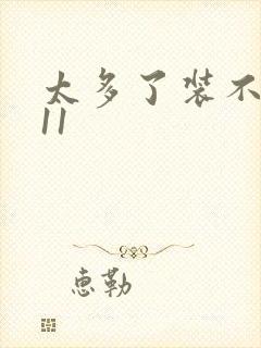 太多了装不下H11