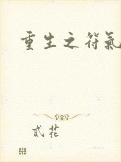 重生之符气冲天